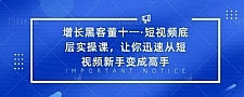 增长黑客董十一·短视频底层实操课，从短视频新手变成高手